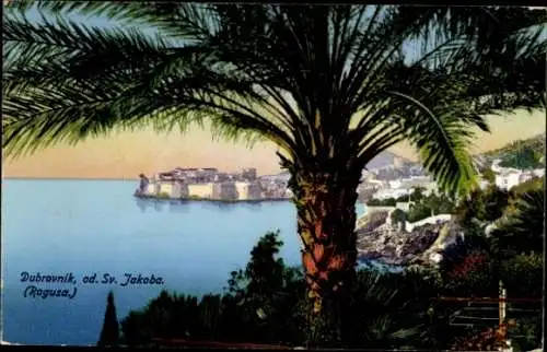 Ak Dubrovnik Kroatien, Palme, Meerblick, Festung, Berglandschaft