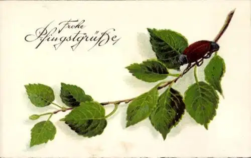 Ak Glückwunsch, Pfingsten, Maikäfer