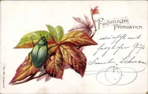 Ak Glückwunsch, Pfingsten, Maikäfer