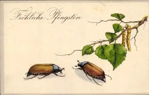 Litho Glückwunsch, Pfingsten, Maikäfer