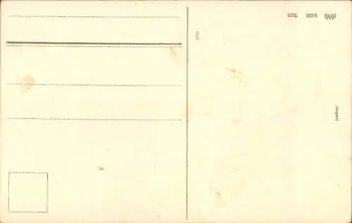 Litho Glückwunsch, Pfingsten, Maikäfer