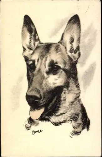 Künstler Ak Schäferhund, Tierportrait