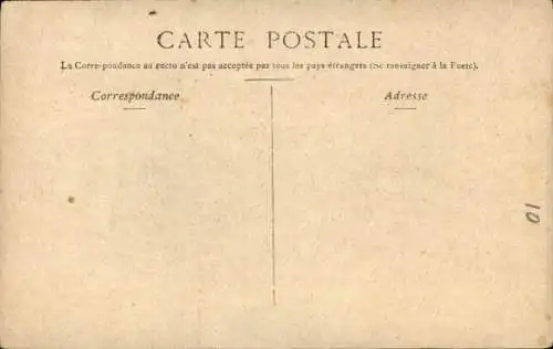 Ak Hund schaut nach oben, Tierporträt