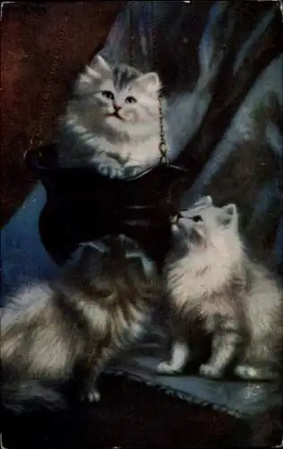 Künstler Ak Drei Katzen mit langem Fell, Portrait