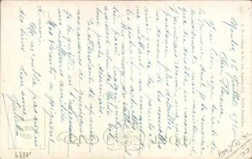 Künstler Ak Drei Katzen mit langem Fell, Portrait