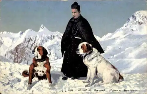 Ak Grand St. Bernard, Bernhardiner
