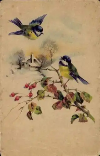 Ak Dorfidyll, Winter, Vögel