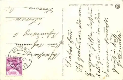 Ak Edelweiß, Blumen