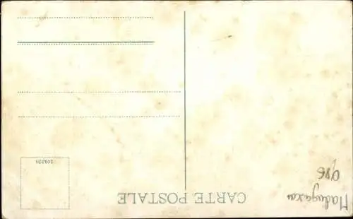 Ak Madagaskar Madagascar, Riesenpflanze Raphia, üppige Vegetation, Landschaft