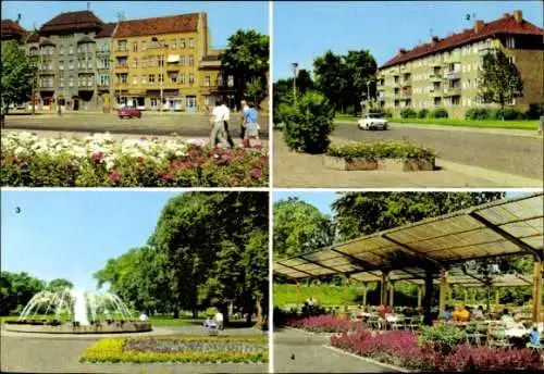 Ak Berlin Pankow, Johannes R. Becher Straße, Bürgerpark, Ossietzky Straße