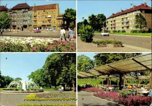 Ak Berlin Pankow, Johannes R. Becher Straße, Bürgerpark, Ossietzky Straße