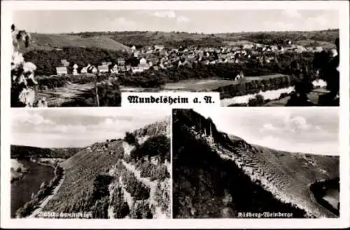 Ak Mundelsheim am Neckar Württemberg, Panorama, Käsberg-Weinberge