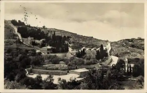 Ak Jerusalem Israel, Landschaft mit Bäumen, Hügeln, Gebäuden, Ölberg,  Atmosphäre