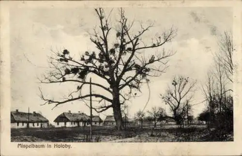 Ak Holoby Ukraine, Mispelbaum