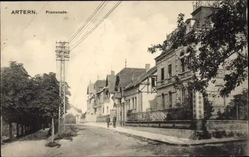 Ak Artern an der Unstrut, Promenade