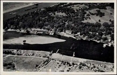 Ak Rotehorn Magdeburg an der Elbe, Luftaufnahme, Rotehornspitze, Stadtpark, Wasser, Bäume, Landsc