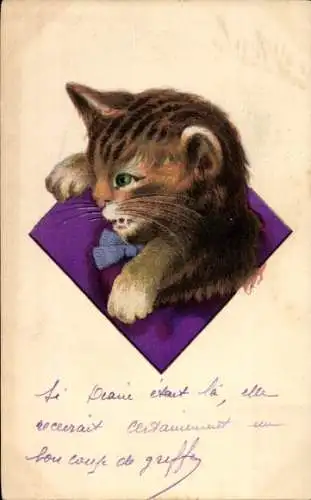 Künstler Ak Katze mit Halsband, Portrait