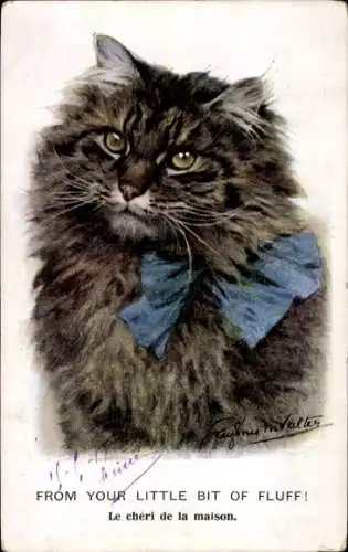 Künstler Ak Valter, Eugenie, Katze mit Halsband, Portrait