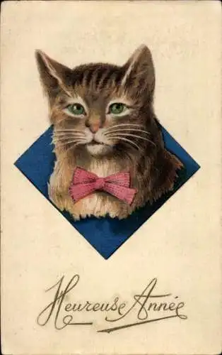 Künstler Ak Katze mit Halsband, Portrait, Neujahr