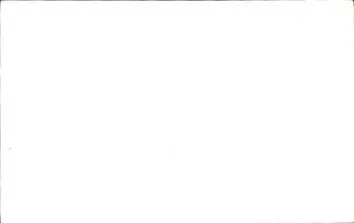 Foto Chow-Chow Hund, Tierporträt