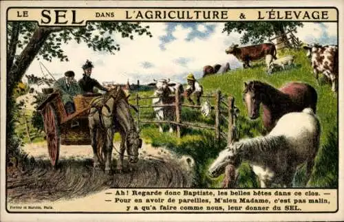 CPA Reklame, Le Sel dans l'Agriculture & Elevage