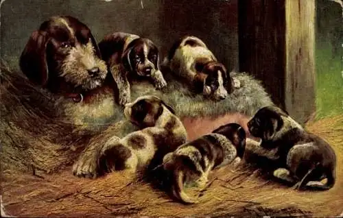 Künstler Ak Hunde, Welpen