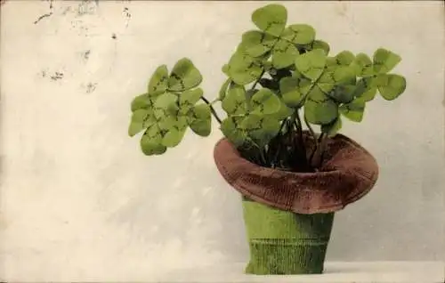 Ak Glücksklee im Blumentopf