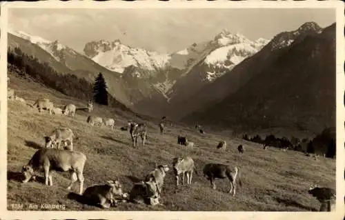 Ak Oberstdorf im Oberallgäu, Kühberg, Kühe