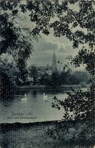 Ak Zwickau in Sachsen, Blick vom Schwanenteich, zwei Schwäne im Wasser