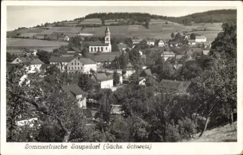 Ak Saupsdorf Sebnitz Sächsische Schweiz, Sommerfrische  Sächsische Schweiz, Gebäudelaubäume, L...