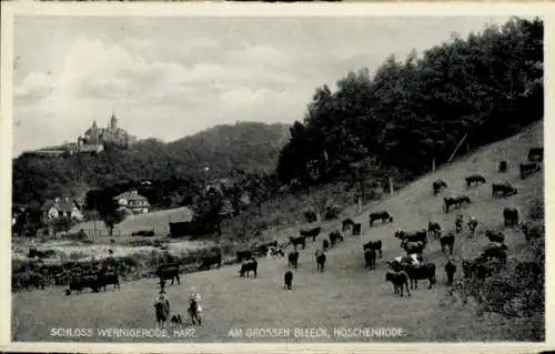 Ak Wernigerode am Harz, Am großen Bleeck, Nöschenrode, Schloss, Kühe