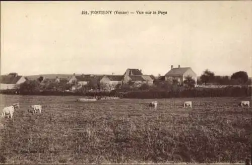 Ak Festigny Yonne, Blick auf das Land