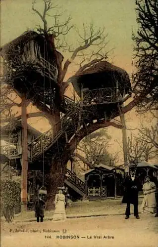CPA Robinson Hauts de Seine, Le Vrai Arbre