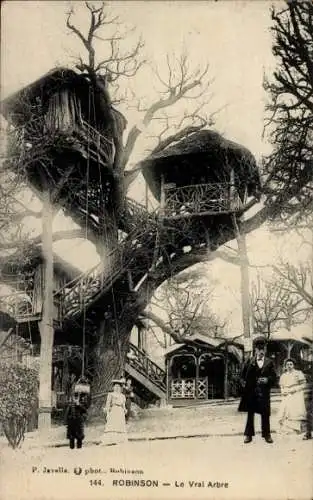 Ak Robinson Hauts de Seine, Le Vrai Arbre