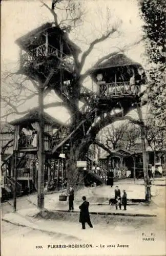 CPA Le Plessis Robinson Hauts de Seine, Le Vrai Arbre