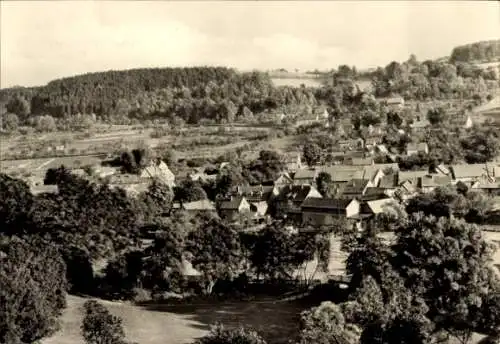 Ak Wippra Sangerhausen am Harz, Landschaftsimpression, Dorfansicht, ländliche Bebauung, Bäume, Hi