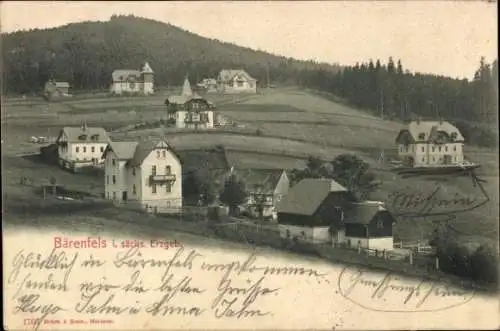 Ak Bärenfels Altenberg im Erzgebirge, Villen, Wald