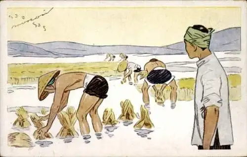 CPA Le Riz d'Indo-Chine, Arrachage avant repiquage