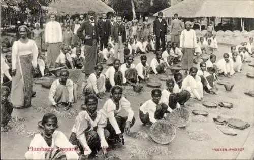 Ak Colombo Ceylon Sri Lanka, Plumbago Preparation