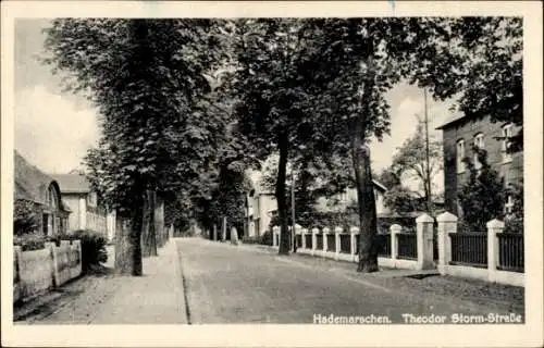 Ak Hademarschen in Holstein, Theodor Storm Straße