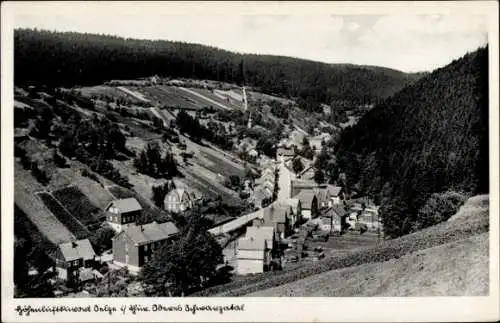 Ak Oelze Katzhütte im Schwarzatal, Gesamtansicht