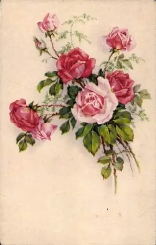 Ak Blumenstrauß, Rosen, Knospen