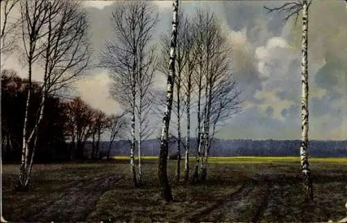 Künstler Ak Klimt, G., Birken, Felder, Bewölkter Himmel