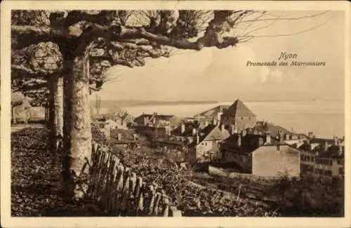 Ak Nyon Kanton Waadt,  Promenade des Marronniers, ruhige Landschaft, Baumallee, Häuser