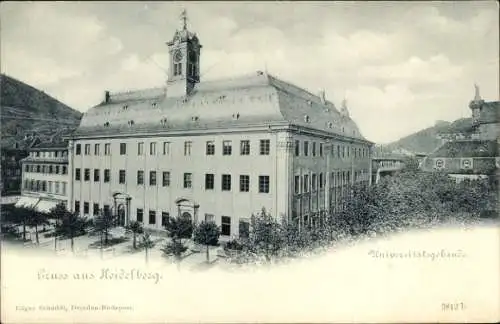 Ak Heidelberg am Neckar, Universitätsgebäude,  Architektur, Bäume im Vordergrund