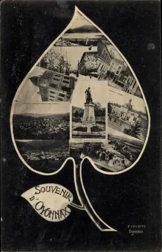Ak Oyonnax Ain, Souvenir , Bilder von  Form eines Blattes