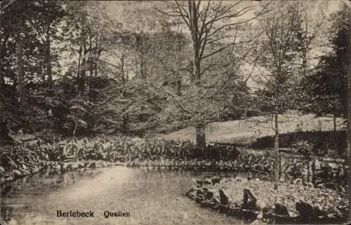 Ak Berlebeck Detmold im Teutoburger Wald, Berlebeck Quellen, idyllische Landschaft, Teich, Bäume