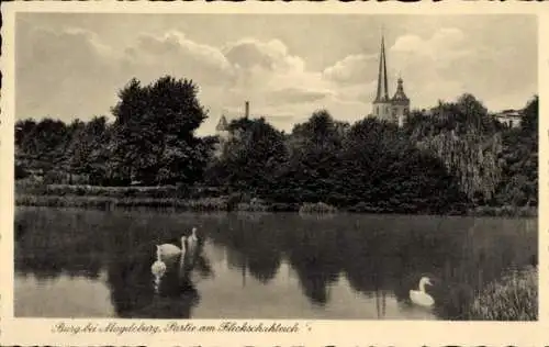Ak Burg bei Magdeburg, Burg bei  Partie am Flickschahleich, Schwäne auf Teich