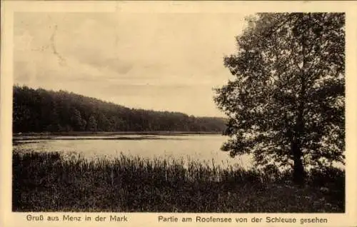 Ak Menz Stechlin in der Mark, am Roofensee
