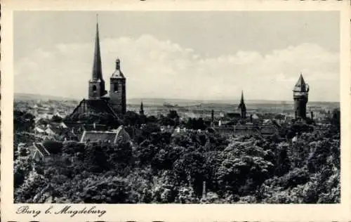 Ak Burg bei Magdeburg, Teilansicht vom Ort, Wald, Türme